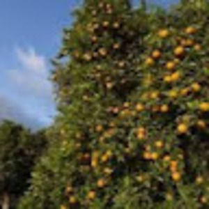 Meet your Posher, Val